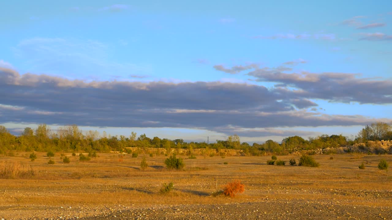zoom lento de uma paisagem desértica, linha de árvores e céu azul