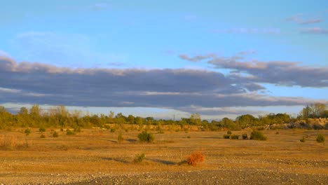 zoom lento de un paisaje desértico, línea de árboles y cielo azul