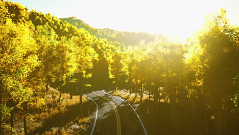 curvy asphalt road through forest in autumn