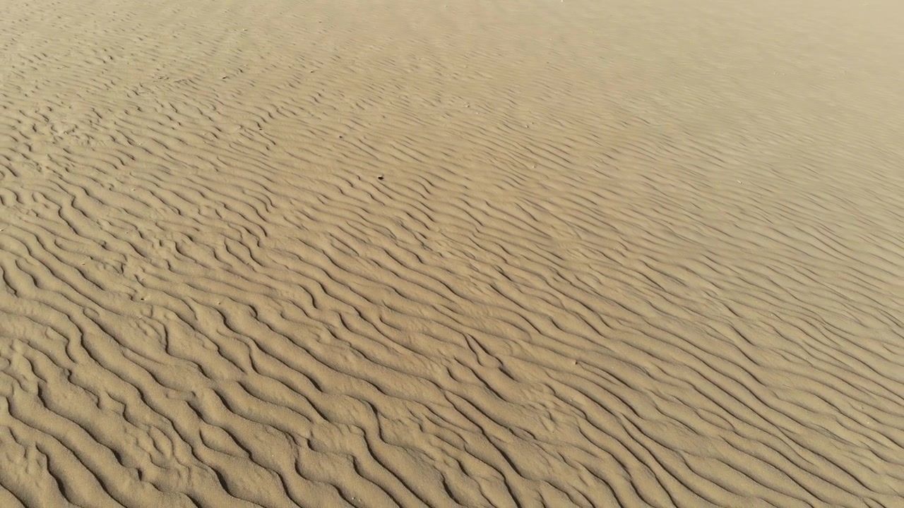 Close-up of Wind-Swept Sand Dunes in the Desert