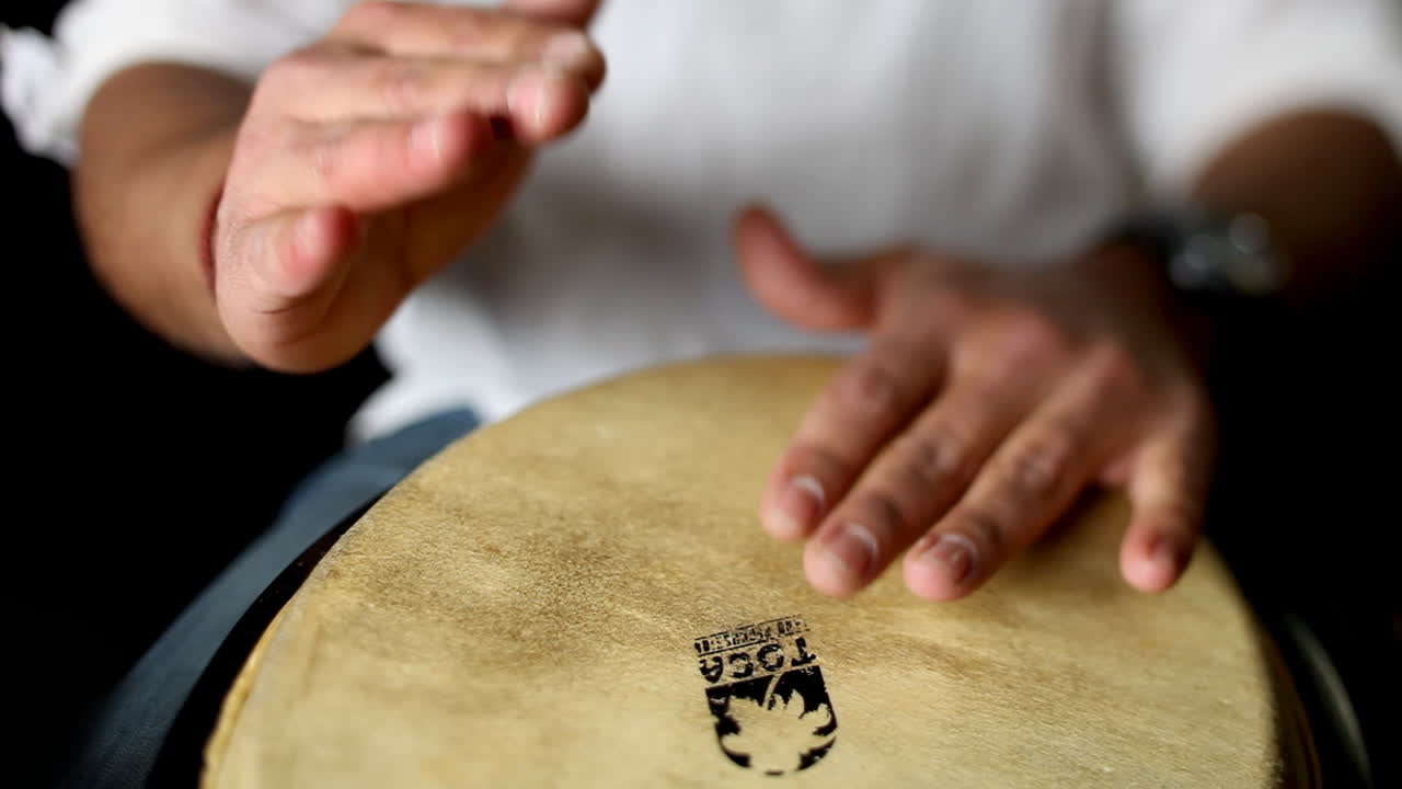 circuito del congo 51