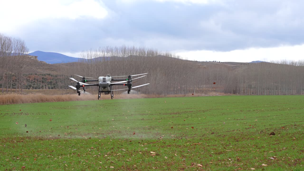 Drone agricolo vola basso sopra un campo di grano irrigando le colture e girando al limite del campo