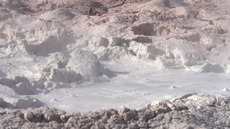 mudpot in yellowstone national park, wyoming usa, close up