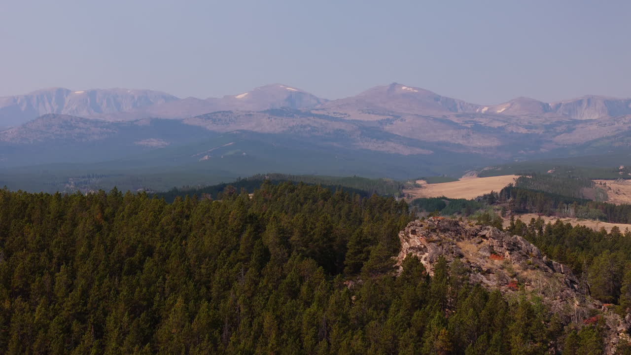 Mountain Range Viewpoint with Pine Forest