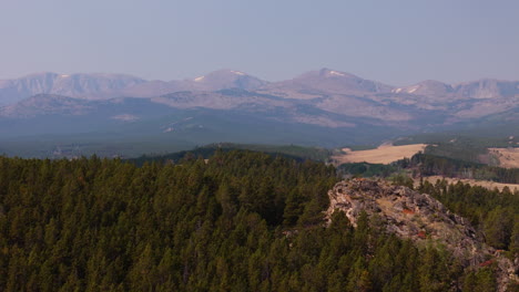 mountain range viewpoint with pine forest