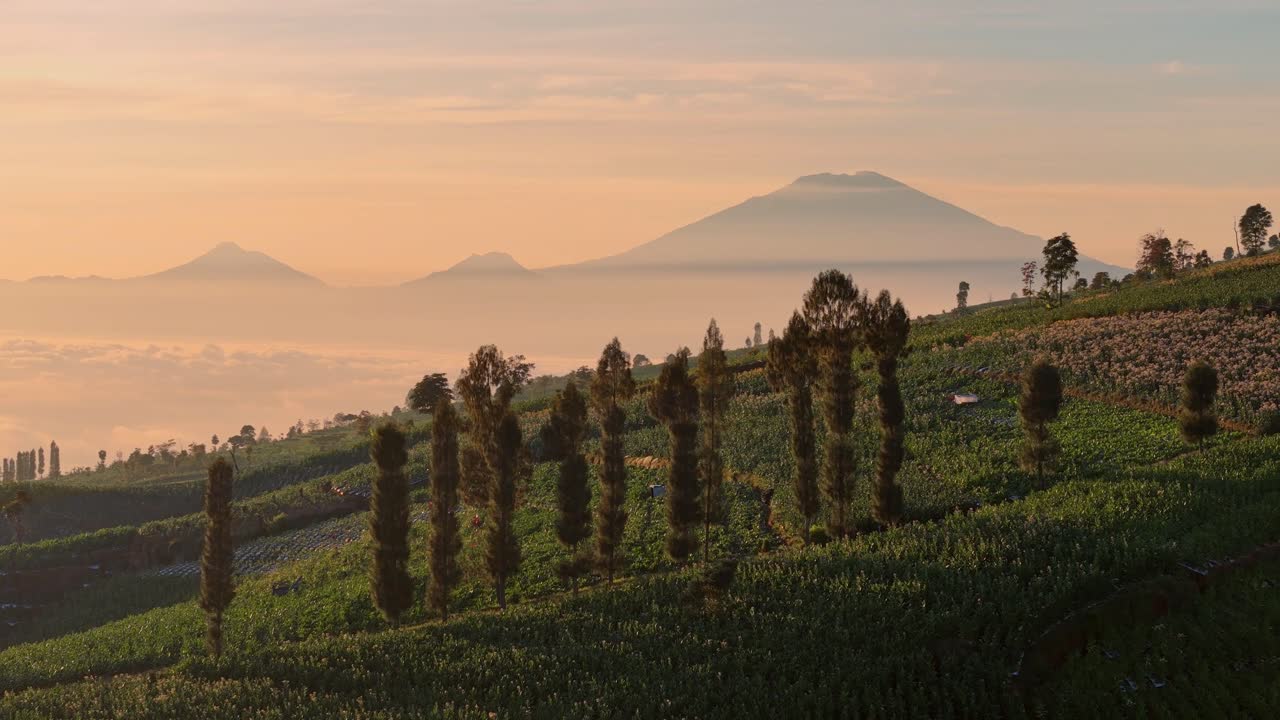 Scenic aerial shot of rural mountain ridge agricultural fields with stunning mountains peeking through morning fog. Magical moment in the golden hour