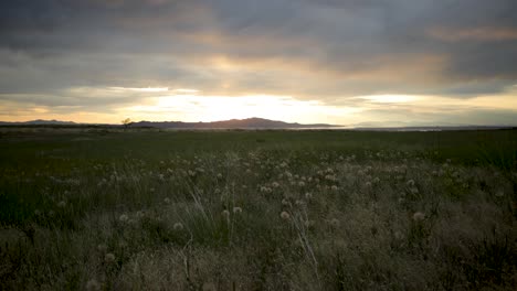 scenic view of golden sunset over the beautiful landscape - time lapse