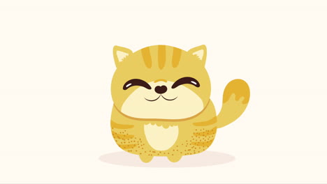 cute and little cat animation