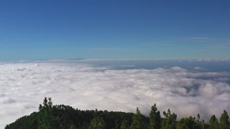 zooming through two cycas trees on a scenic view from the pico de teide mountain on canary islands on a dense cloud inversion and green trees below