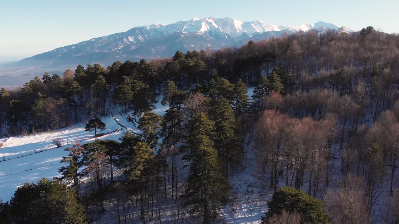 dron aéreo revelando tiro monte olimpo invierno nieve volar sobre bosque primer plano