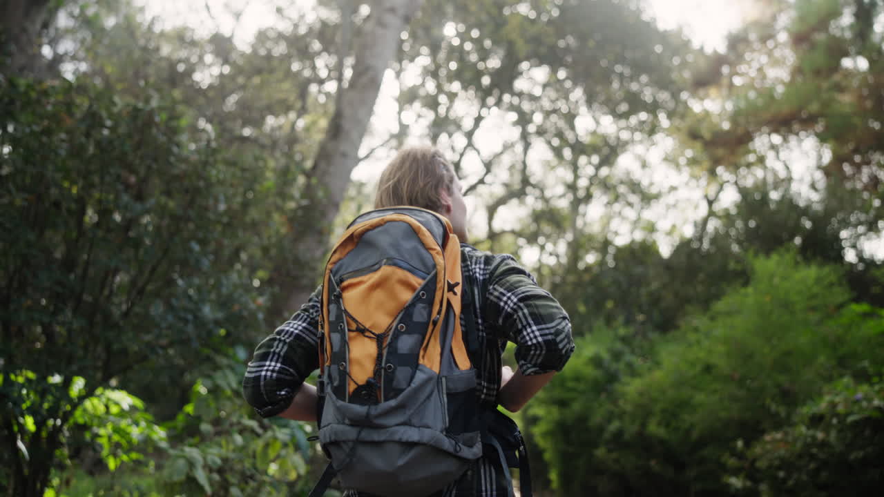 Hiker with Backpack in Forest
