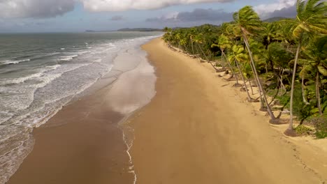 Mission-Beach-in-Queensland-aerial-tracking-backwards-with-palm-trees,-Australia