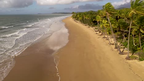 mission beach in queensland aerial tracking backwards with palm trees, australia