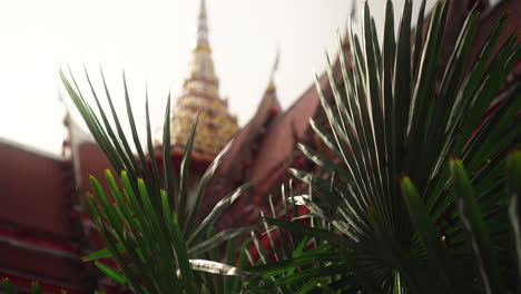 temple in thailand with lush green plants