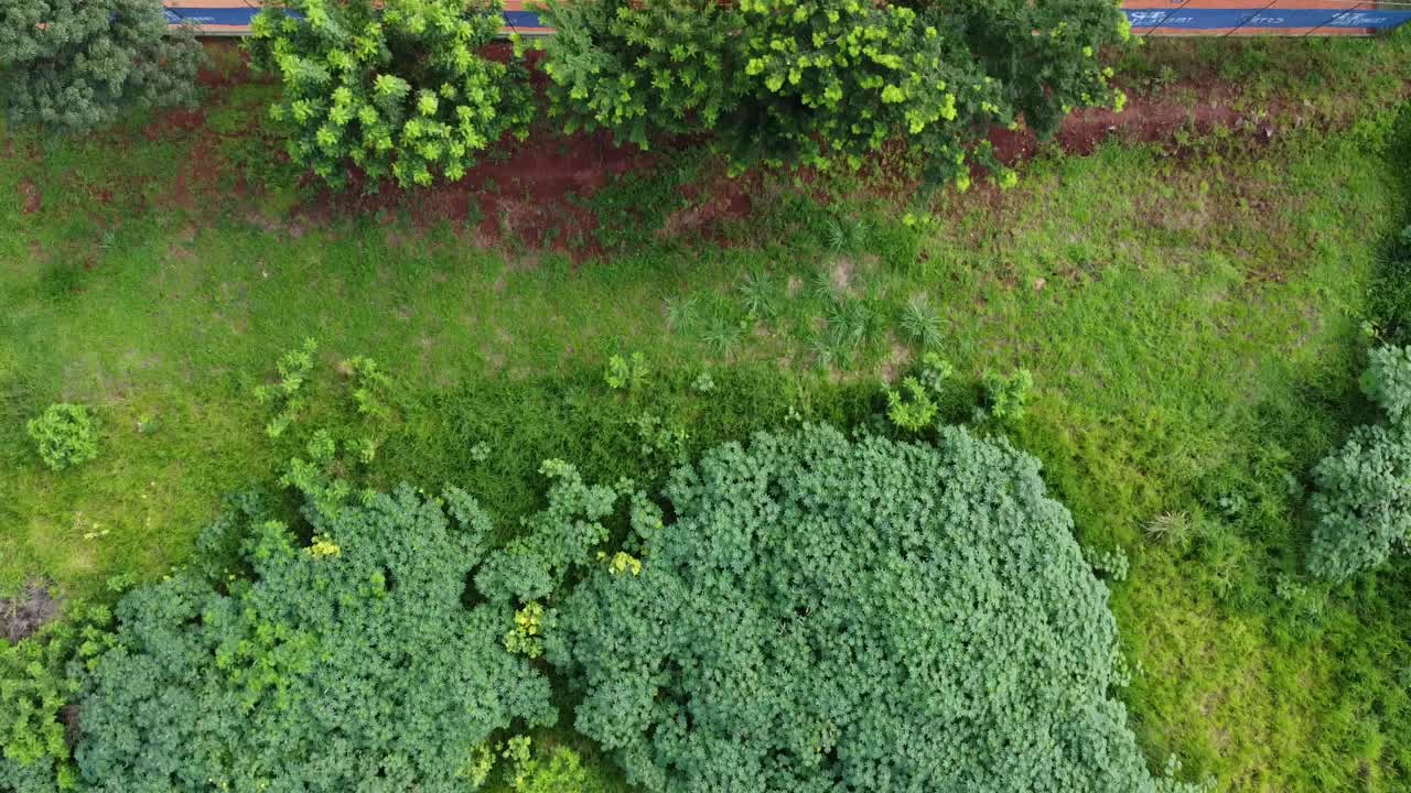 ribeirão preto 테니스 아카데미의 테니스 클레이 코트 3개