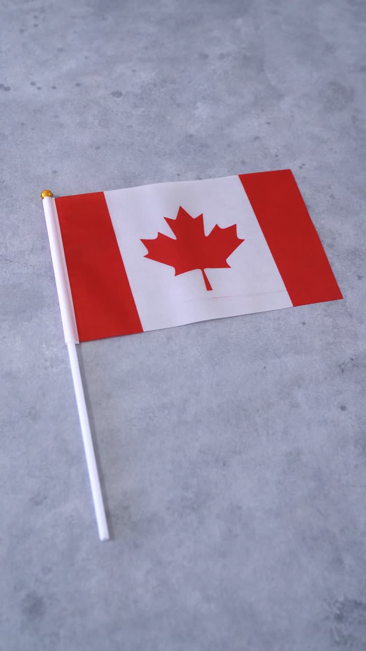 Bandiera del Canada. Scatto verticale. Sfondo grigio.