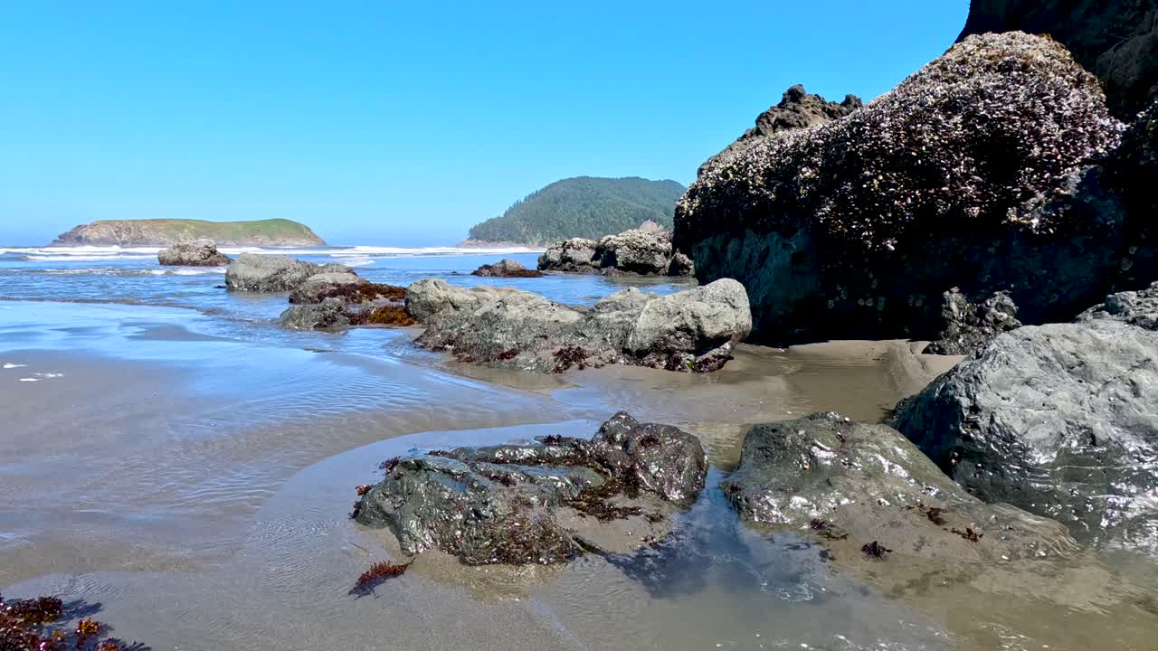 roca de coral se encuentra en la playa del océano pacífico