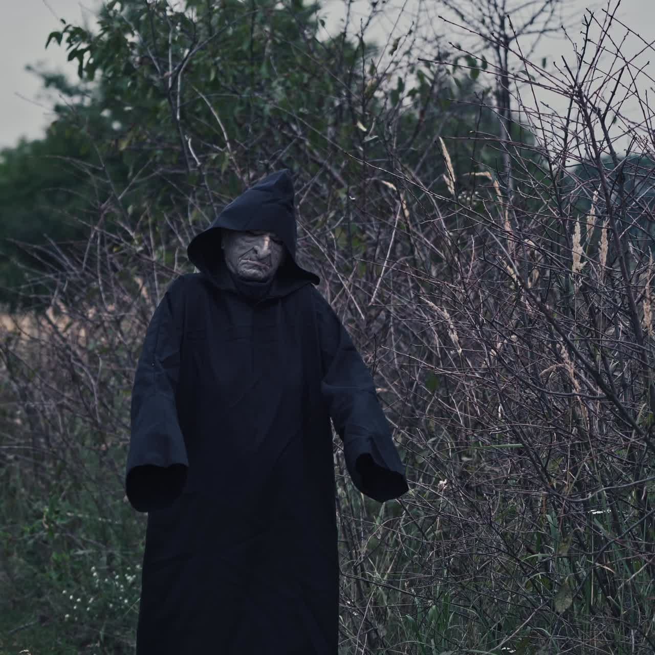 Mysterious Hooded Figure Walking Through Barren Bushes