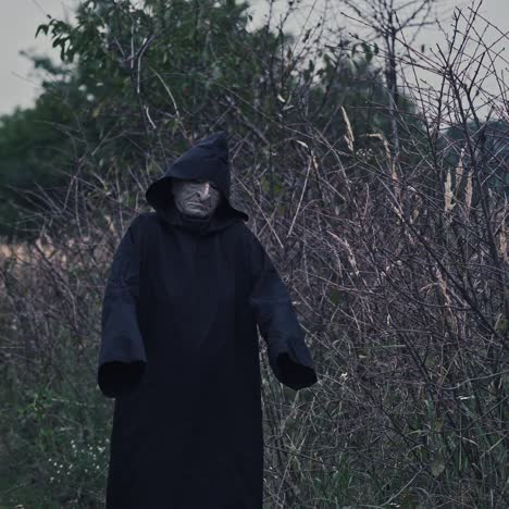 mysterious hooded figure walking through barren bushes