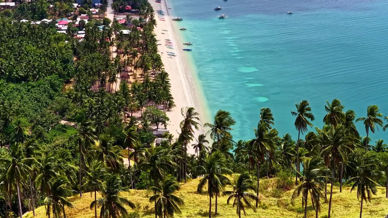 Splendida ripresa aerea con drone dall'alto su San Vicente, Palawan, Filippine. Caratterizzata da alte palme su una collina erbosa che si affaccia su una lunga spiaggia di sabbia bianca e acque oceaniche turchesi cristalline