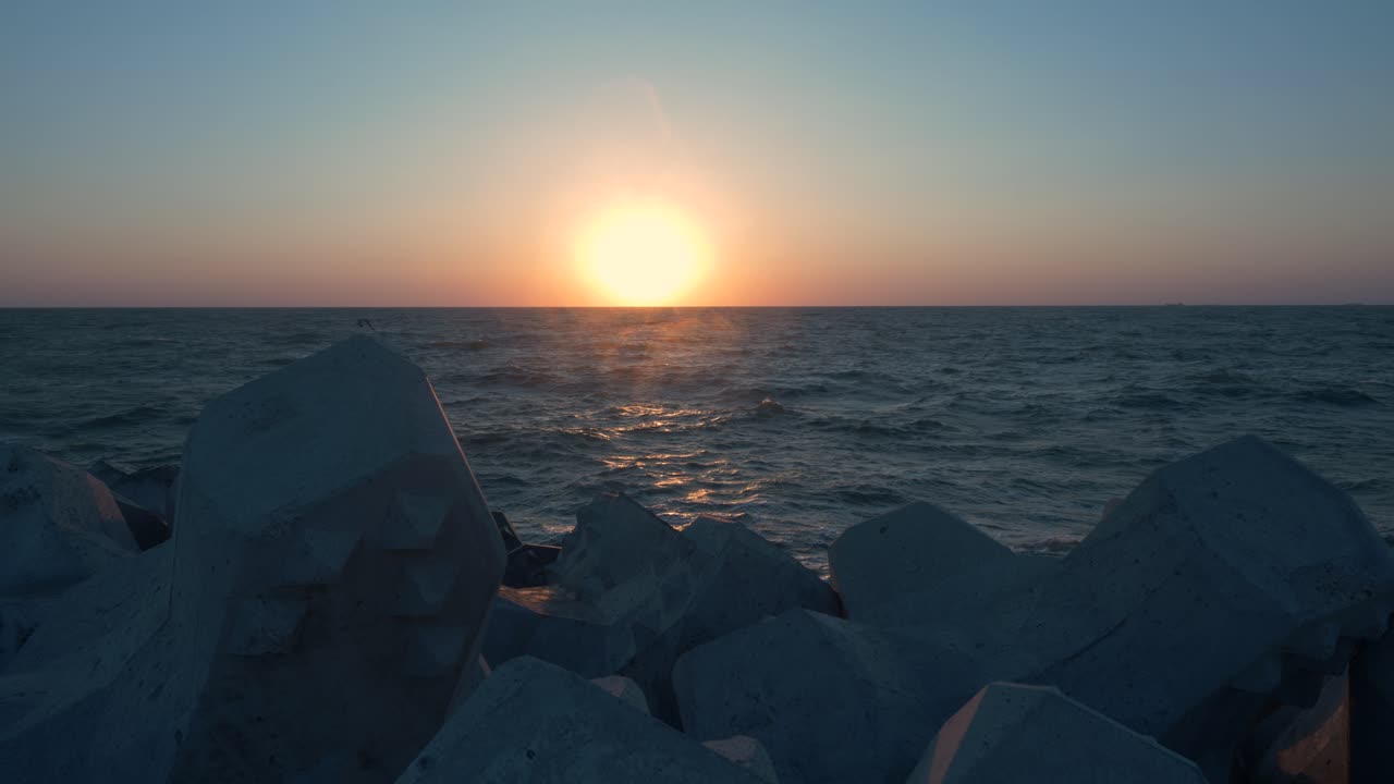 바다 위의 태양을 통해 날아가는 갈매기 새