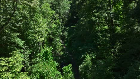 Caminata-De-Montaña-Cerca-De-La-Caída-De-Amicalola-En-Dawsonville,-Georgia