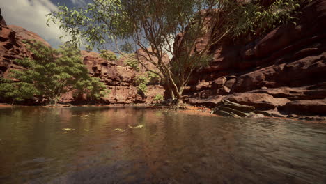 Grand-canyon-and-Colorado-river