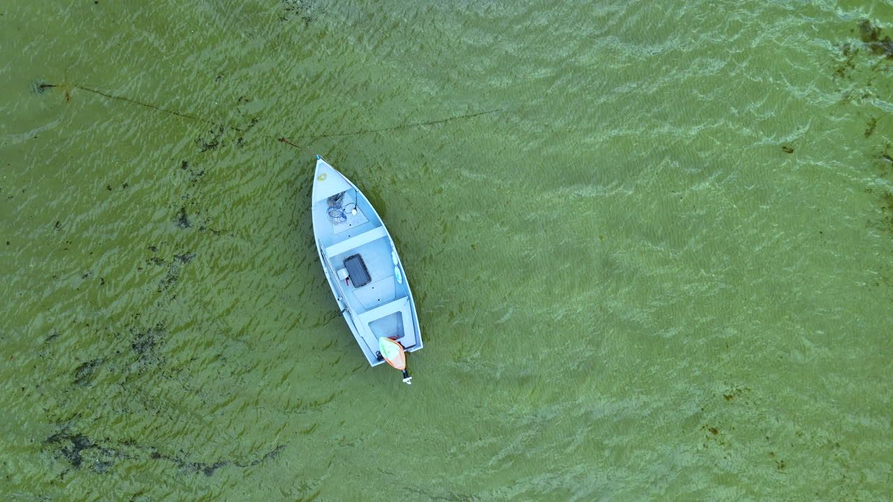 vista aérea de un solo barco flotando sobre un fondo marino verde vibrante, mostrando las aguas claras y el rico entorno marino