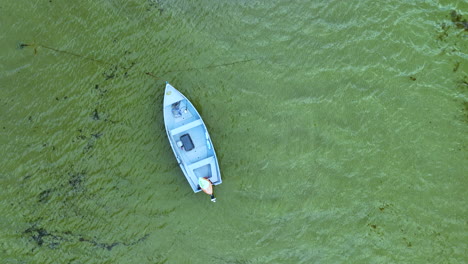 vista aérea de un solo barco flotando sobre un fondo marino verde vibrante, mostrando las aguas claras y el rico entorno marino