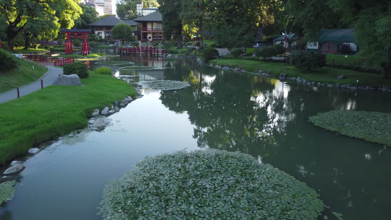 해가 지는 부에노스 아이레스의 일본 정원 공원의 연못 위의 나무 빨간 다리 위에서 낮은 고도에서 비행하는 드론