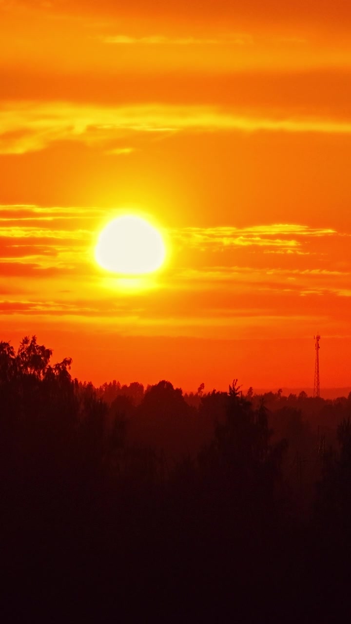 Glowing sun going down behind dark silhouettes of trees and distant communication tower. Aerial drone descending, vertical format, copy space