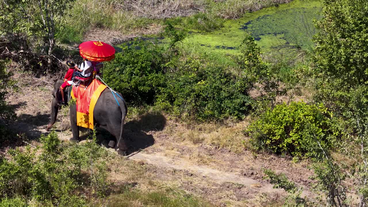 Foto aerea di turisti che cavalcano un elefante in un rigoglioso campo tropicale verde