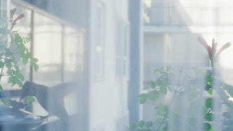 Hummingbird-at-a-bird-feeder-on-a-windowsill