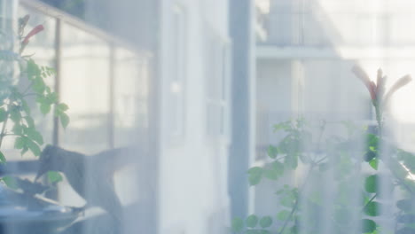 창틀 위의 새 모이통에 있는 벌새