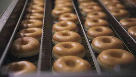 rosquillas en una línea de producción