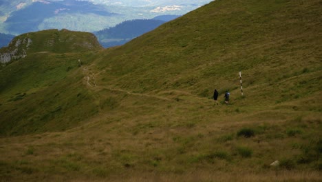 wide panning right shot revealing a green mountain meadow, with a trail and two hikers walking through