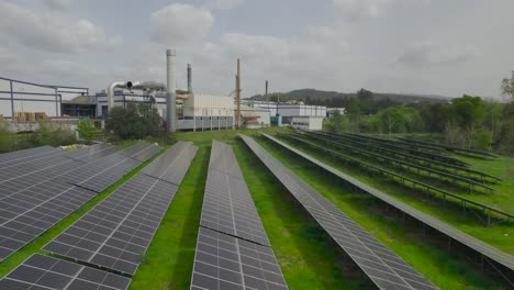 ecological system for converting solar energy into electrical energy solar panels stand in rows