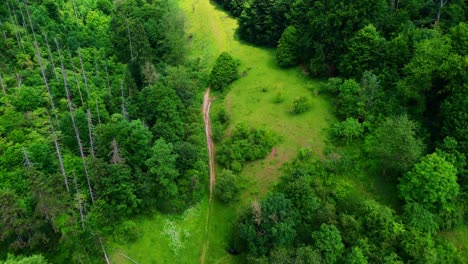 Aerial View of Narrow Dirt Trail Winding Through Dense Green Forest and Grassy Clearing in Remote Wilderness