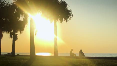 time lapse of palm tree and people near the beach