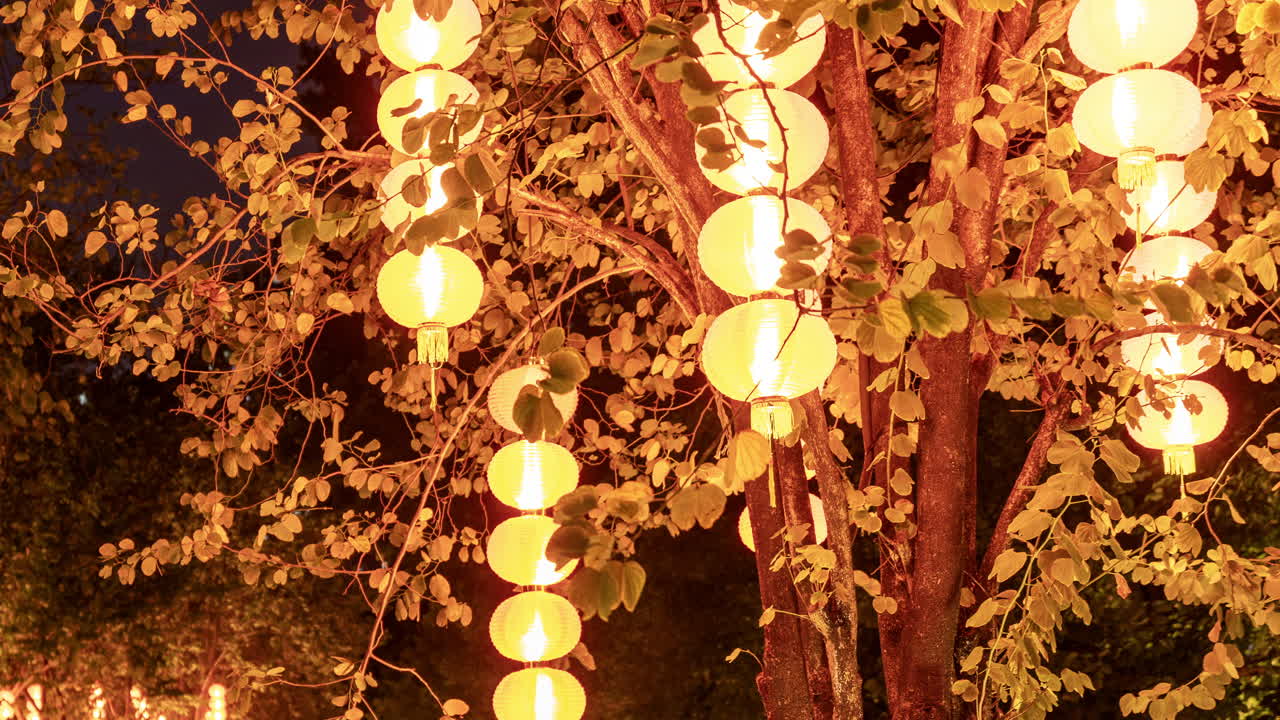 Lanternas Luminosas Penduradas em Galhos de Árvores à Noite