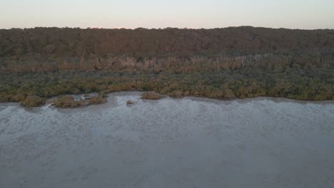 Vegetación-En-La-Costa-De-La-Isla-De-North-Stradbroke-Durante-La-Marea-Baja-Cerca-Del-Punto-De-Amistad-En-Australia