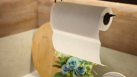 paper towel hanging in kitchen