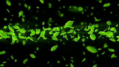 spin of falling green leaves,cg animation,loop