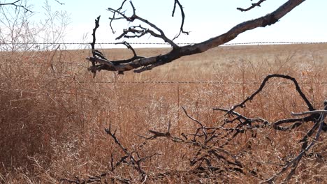 colorado plains 4k dolly left to right