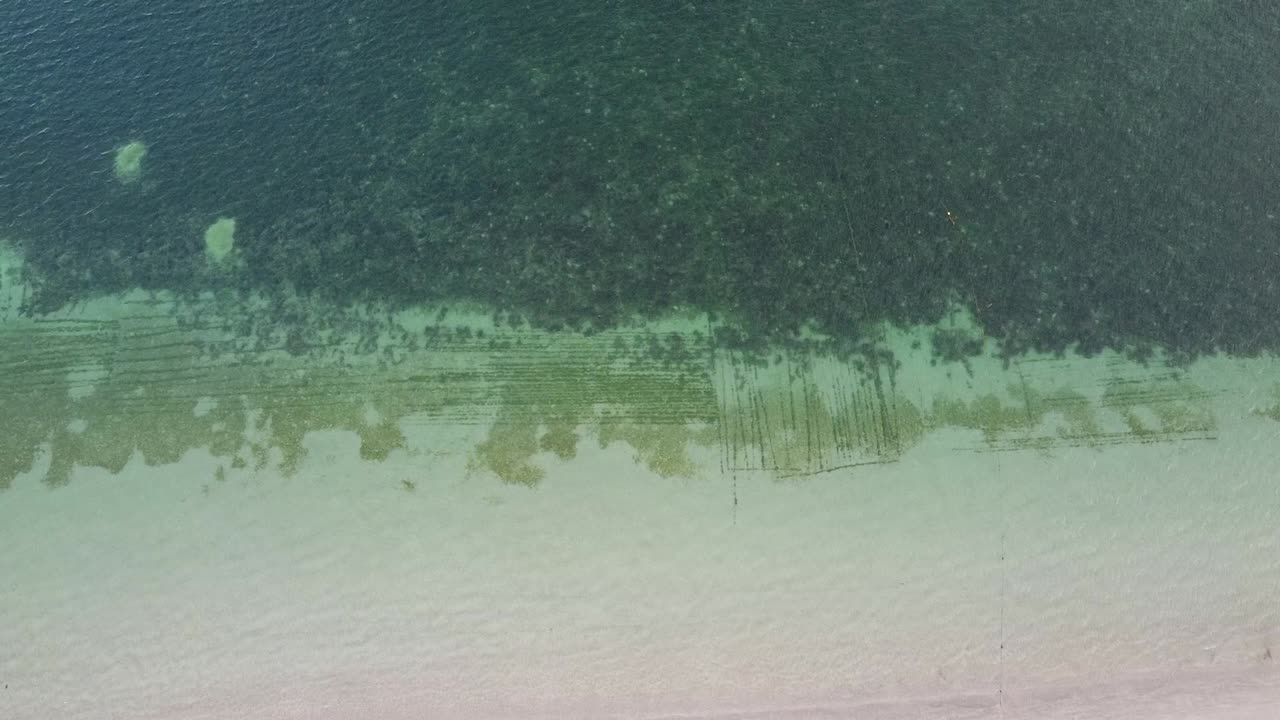 목가적이고 외딴 열대 섬의 맑은 바다에서 수출용 식품을 재배하는 작은 지속 가능한 해초 농장 위로 공중으로 떠오름