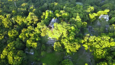 Mayan-Pyramid-coverd-by-trees-in-the-jungle,-Nakum-Guatemala,-archeological-site