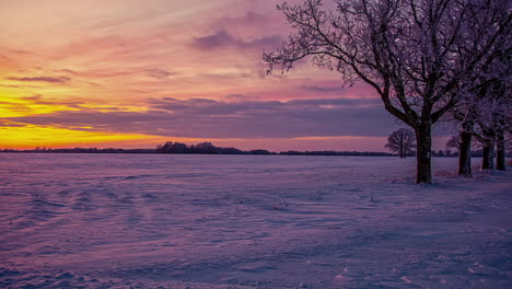 Bunter-Gelber-Himmel-Nach-Sonnenuntergang-Im-Zeitraffer-Während-Der-Abendzeit-Mit-Vorbeiziehenden-Weißen-Wolken