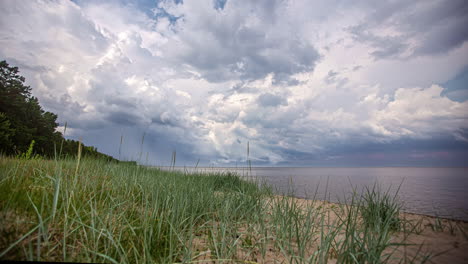 green grass on sandy shoreline under dramatic sky with beautiful cloudscape