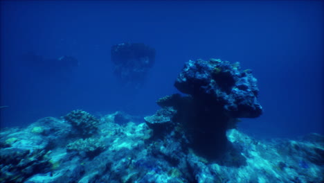 impresionante arrecife de coral submarino