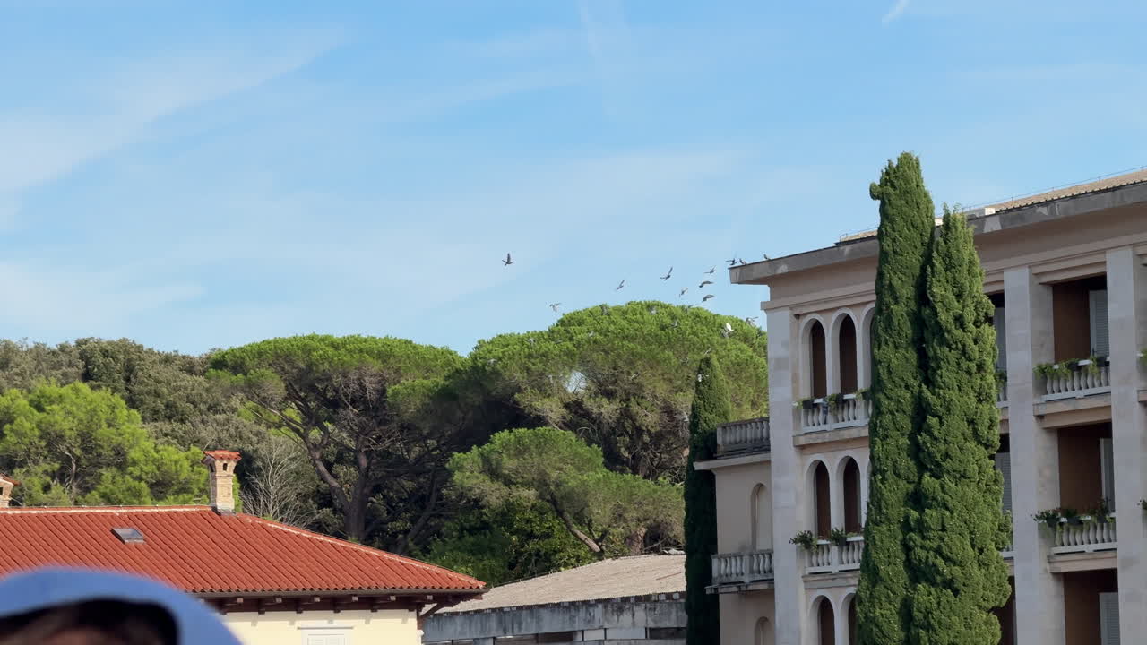 A flock of birds soars above rooftops and green trees on a clear blue sky, capturing the harmony of urban and nature landscapes